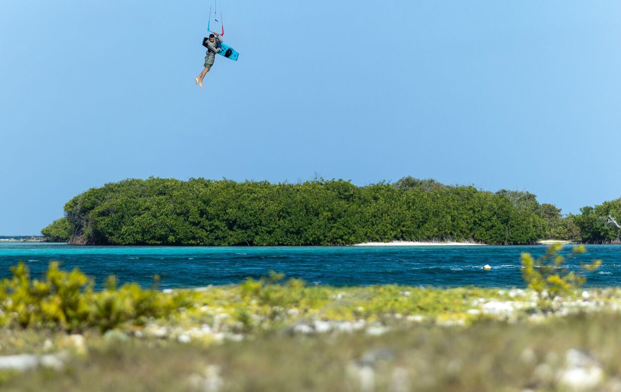 action_shot